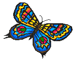 butterfly4.gif (3494 bytes)